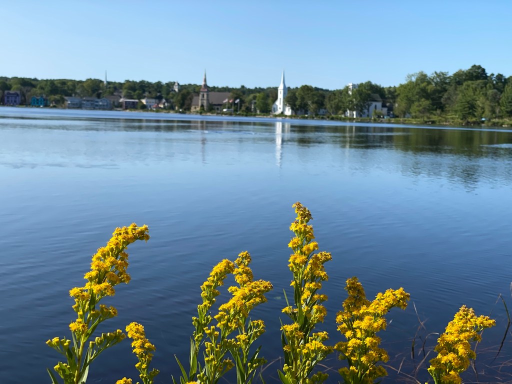 Note 8 – A Perfect Day – Halifax to&nbsp;Lunenburg