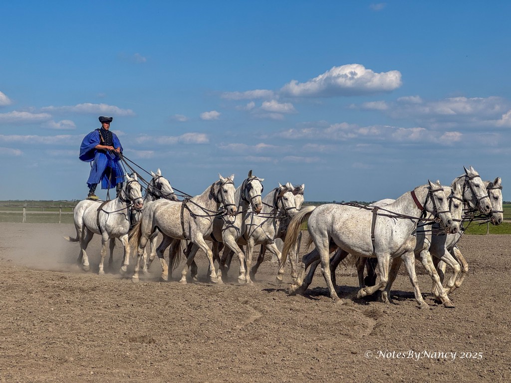 Note 76 – Kalocsa, Hungary – Kalocsa and&nbsp;Puszta