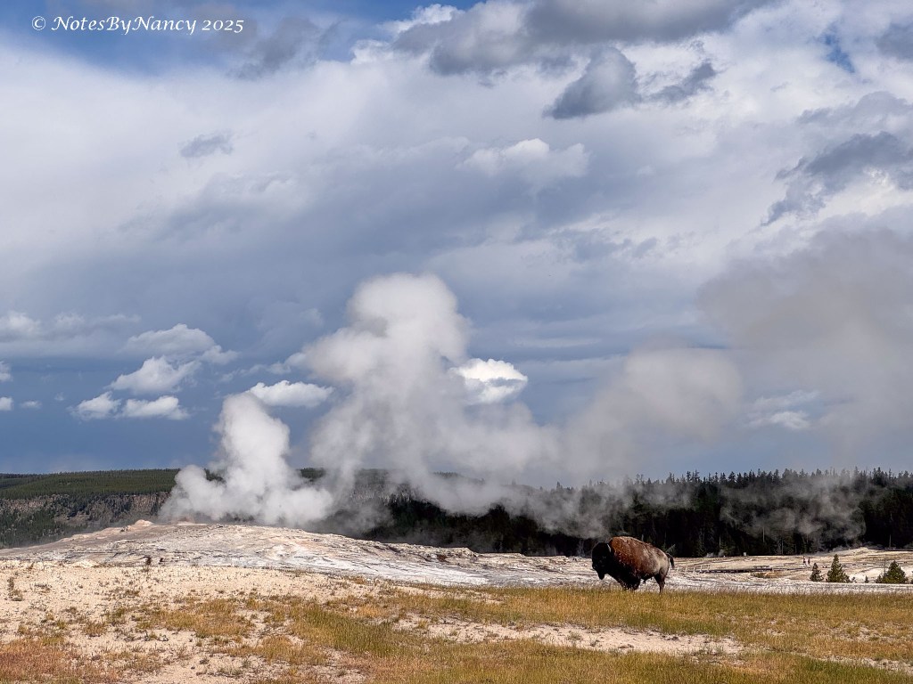 Note 89 – Montana Adventure – Geysers, Hot Springs, Mud Pots, and Fumaroles – Oh&nbsp;My!