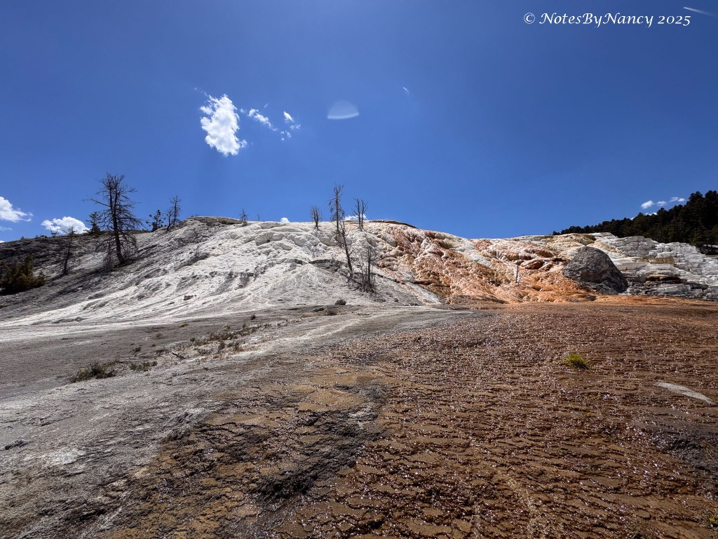 Note 91 – Montana Adventure – Travertine&nbsp;Terraces