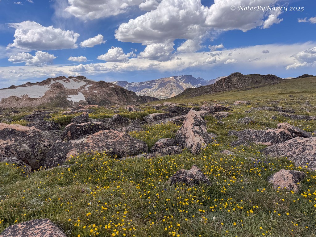 Note 93 – Montana Adventure – Lamar Valley and Beartooth&nbsp;Highway